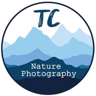 A husband and wife team of nature photographers who love the 🇨🇦 Rockies and their mountains, lakes, and wildlife.