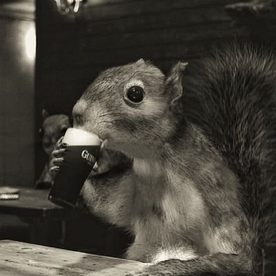 YouKnowWhoOP's profile picture. chaar • lee /wUHRk/ 

shit that has to get done but no one wants to do