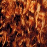 FlamingHarvest (@flaming_harvest) 's Twitter Profile