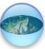 MellowWolfPblsh's profile picture. Good News Torah - Good News of Israel and Her Messiah: Human core dialogue; Learning dialogues; Collaborative Listening; Biblical Restorative Justice.