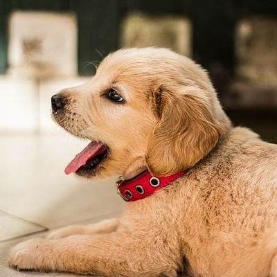 jenniferyeahh's profile picture. Life is way too short to worry about what other people think about you, just be yourself🌟