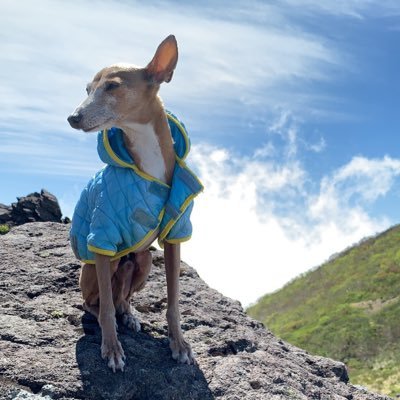 hoghKVIg2Aejc10's profile picture. 八戸北→弘大医医