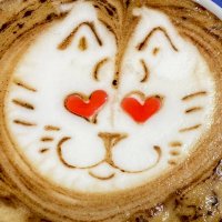 ごはん (@gohan_xmd) 's Twitter Profile
