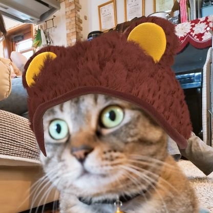 monsteplumeri's profile picture. 