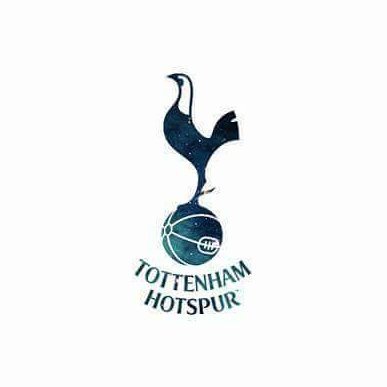 Classical music, history, my cats and Spurs #COYS.