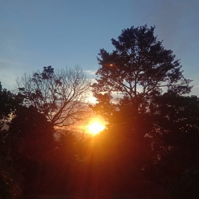 omaigoshhh's profile picture. 