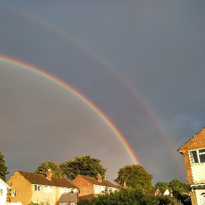 Tangle_Trees's profile picture. 