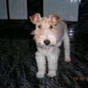 nancy vinci - @nancybanco - Twitter