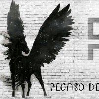 PEGASO DE ARRIBA (@pegasodearriba) 's Twitter Profile