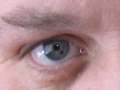 dabhi_lydon's profile picture. Mayo gaa and deelrovers