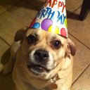 Lewis Shapiro - @Lew_a_Jew - Twitter