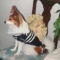 mimi (@mimi_ooula) 's Twitter Profile Photo