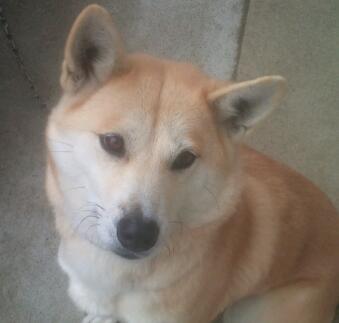 hachiponn's profile picture. ゴルフ大好き❤ ツイッターの使い方が今ひとつ分からないまま続けてます。 無言のフォローお許しください。 お金儲けのお誘い、勧誘などはお断りしています。