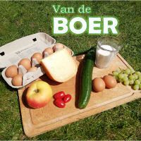 vandeboer (@vandeboer7) 's Twitter Profile