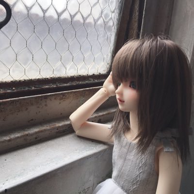 SDたちと暮らしている働く腐女子。他社ドールも好き。たまに工作をする。お人形ならなんでもあり状態 妄想激しめ。ちょっとBL要素ある（けどなかなか付き合わない） 無言いいね&フォロー失礼します… ドールオーナー以外からのフォローも歓迎です🙆‍♀️