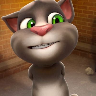 crazyzhaokk0's profile picture. do myself