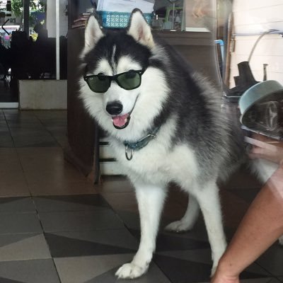 Toppoii's profile picture. FC BARCELONA❤️BIGBANG❤️HRK❤️ And YOU 💙