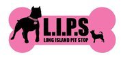 Long Island Pit Stop