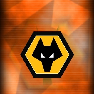 gowolves's profile picture. 
