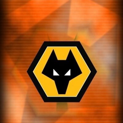 gowolves's profile image