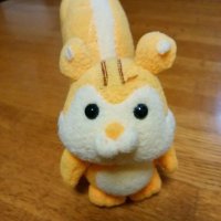 うさぞす@ポケモンGO福岡 (@usazos) 's Twitter Profile Photo