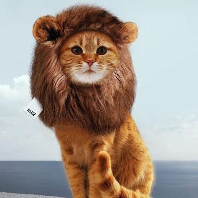 OlgaElanskaya1's profile picture. энергия рыжих несет позитиффф