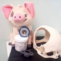 Imperial Neurosurgery (@neuro_at_ic) 's Twitter Profile