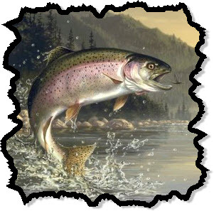 myfishreport's profile picture. 