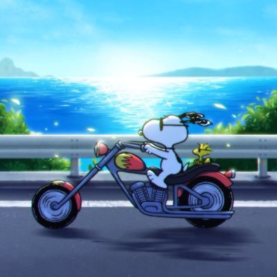 bi18ke's profile picture. 20代のバイク女子🏍 シャドウクラシックに乗ってます。気軽にフォローしてください😀無言フォローすみません。