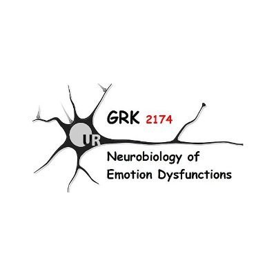 A highly interactive group of scientists trying to decipher the neurobiological basis of emotional dysfunctions. Funded by DFG.