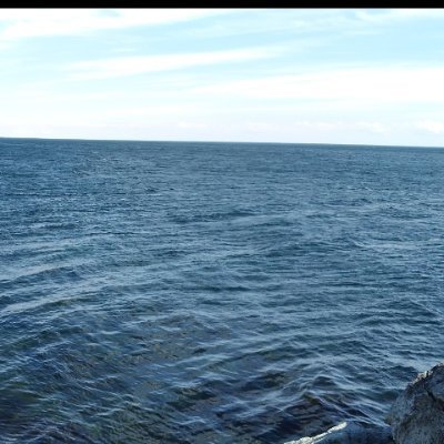 clusterplucking's profile picture. Yes