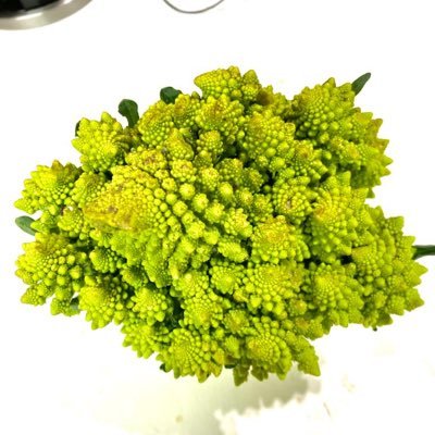 From the perspective of a Fractal Vegetable - challenge the status quo