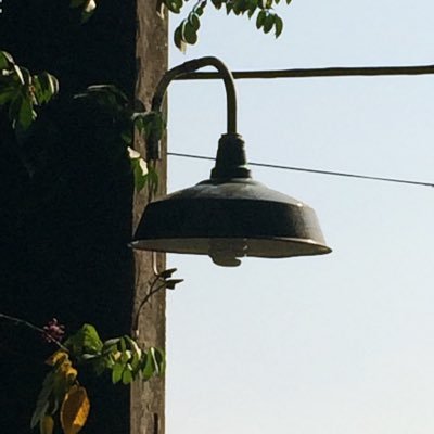 Lessfeelings_'s profile picture. Less feelings, more food.