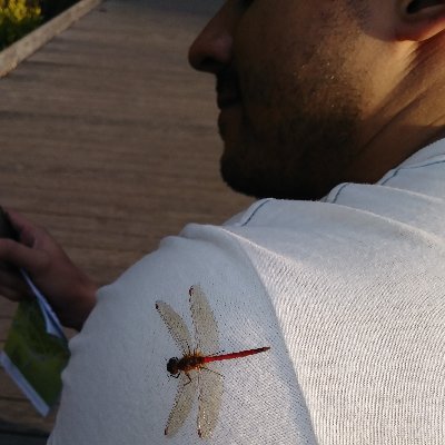 gastonpoveda's profile picture. 🐍