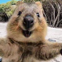 GrumpyGirl (@realgrumpygirl) 's Twitter Profile