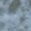 robloxplayer557's profile picture.