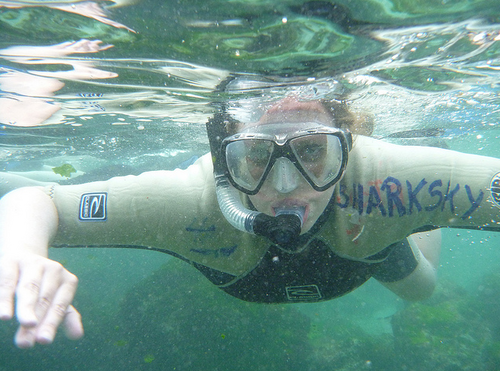 bbelardi's profile picture. School Library Media Specialist* Web Master* DEN PA Leadership Council*Teacher of the Year 2010