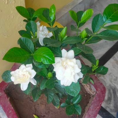 Maninde41989513's profile picture. ਨਿਰਪੱਖ