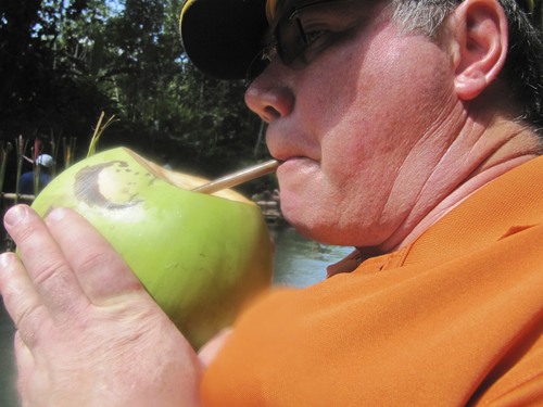 tingtang888's profile picture. 