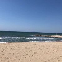 関真澄 サラブレッドビューティー (@leavesmasumi) 's Twitter Profile Photo