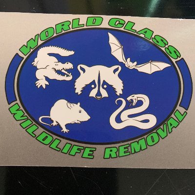 World Class Wildlife Removal