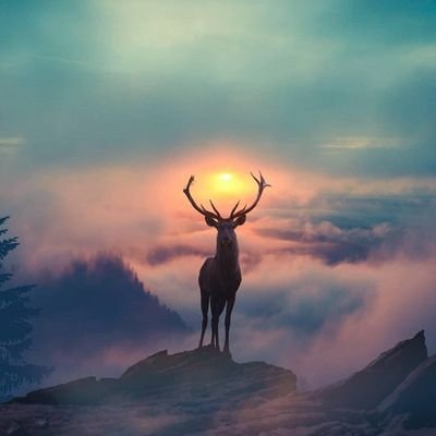 akun bercandaan //
https://t.co/Pc2cJJbHdw