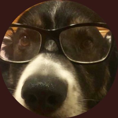 BobisitoU's profile picture. Síganme esclavos TnT