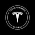 Tesla Owners Global (@TeslaOwnersWW) Twitter profile photo