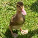 Rachel Bruton - @rachel_bruton - Twitter