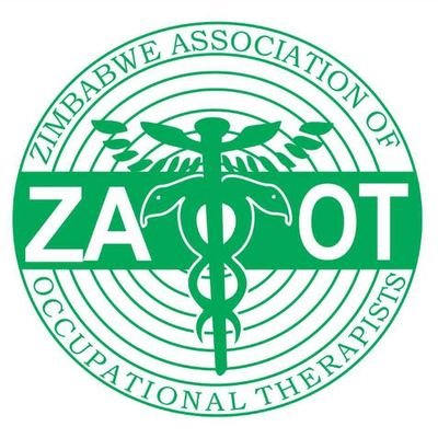 The professional association for occupational therapists and custodians of the occupational therapy profession within the borders of Zimbabwe