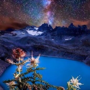 Robbin84736161's profile picture. 