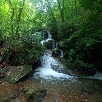 TraceysOutdoors's profile picture. Hi lady’s and gentlemen’s, welcome Me and my son want to start something fun outdoor/magnet fishing.