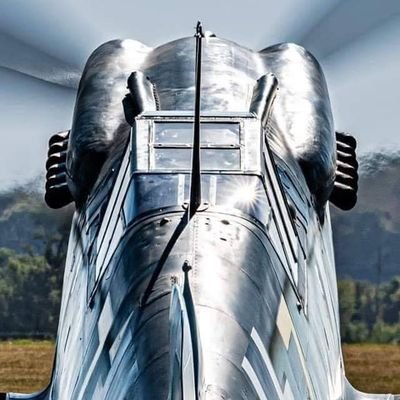 DaTeddy7's profile picture. 