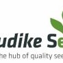 Umudike Seeds (@umudike_seeds) 's Twitter Profile Photo Umudike Seeds (@umudike_seeds) 's Twitter Profile Photo